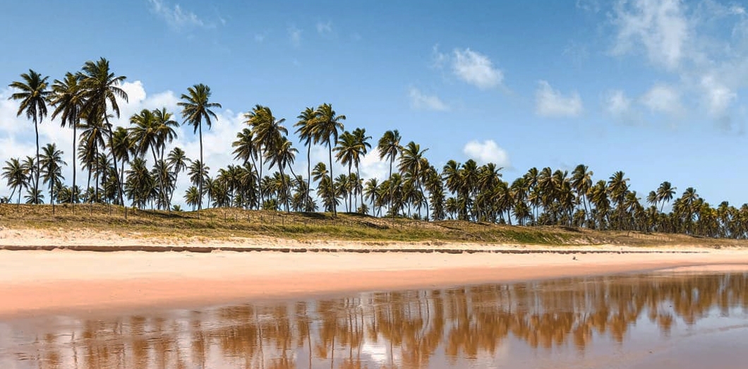 Por que o litoral da Bahia é tão encantador e recebe tantos visitantes