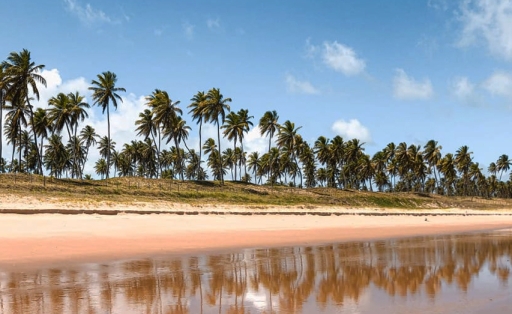 Por que o litoral da Bahia é tão encantador e recebe tantos visitantes