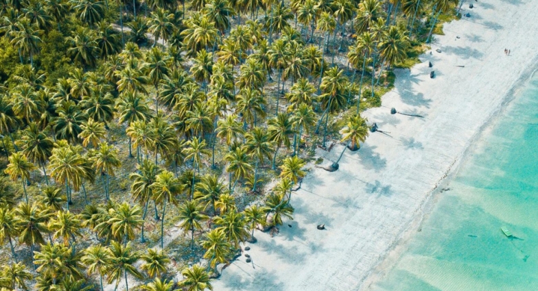 Silêncio, natureza e mar: o charme do descanso no Litoral Norte da Bahia