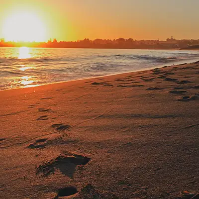 Pacotes de baixa temporada na Praia do Forte Bahia
